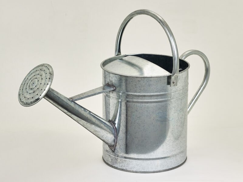 Regadera Metálica de 5 Litros – Acero Galvanizado con Roseta Desenroscable