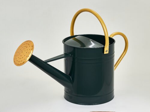 Regadera metálica 5L verde mate oscuro con detalles mostaza rugoso estilo rústico